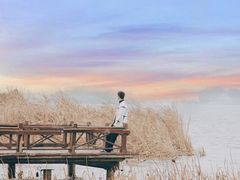 -花博汇(知音花月夜)