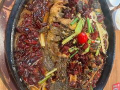 -老板恋上鱼(恒隆广场店)