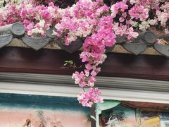 -深圳国际园林花卉博览园