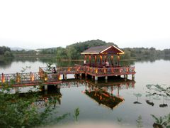 -上海市保健医疗中心(华东疗养院)