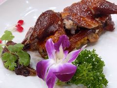 -海港酒楼·平价海鲜·茶点(小公园店)