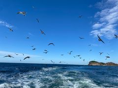 -海驴岛(荣成市)
