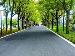 -东钱湖小普陀景区