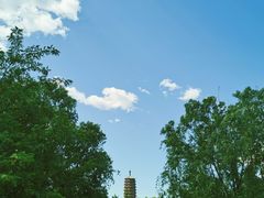 -永定河休闲森林公园