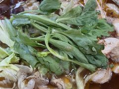 -芦月轩羊蝎子(北蜂窝店)