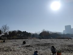 -滨湖塘西河公园