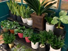 -BOBLOOM花店(宝龙旭辉广场店)