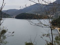 -广州市流溪河国家森林公园