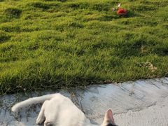 -南京市无想山景区