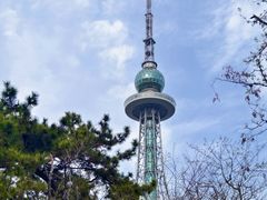 -青岛电视塔