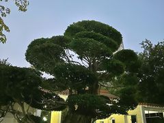 -荔枝公园(福田区)