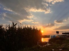 -呈贡滇池生态湿地公园