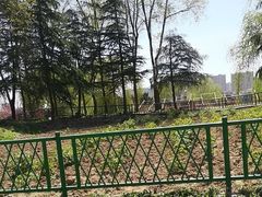 -曹州牡丹园