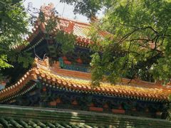 -北京国子监胡同