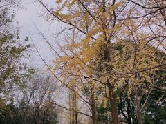 -月湖风景区
