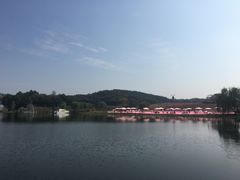 -大塘金香草谷
