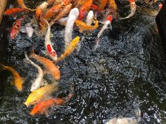 -太子园林酒家