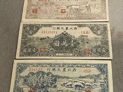 -中国钱币博物馆