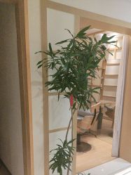 -可樱汇·美容洗发SPA