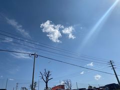 -空港花田景区