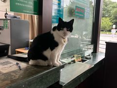-上海市浦东新区中医医院(川沙总院)