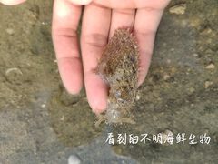 -北海金海湾红树林生态旅游区