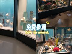 -天津自然博物馆