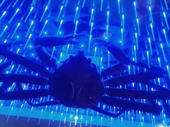 -蟹之国·精品蟹料理(极地店)