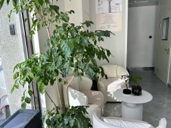 -海涛医疗美容·面部抗衰·注射美鼻