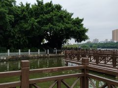 -南宁南湖公园
