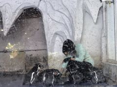 -太平洋海底世界