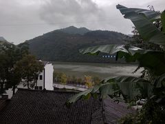 -后柳水乡