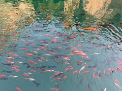 -山西通天峡景区