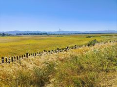 -野鸭湖国家湿地公园