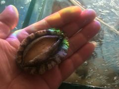 -雅逸居海鲜小厨