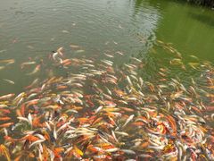 -北戴河圣蓝海洋公园