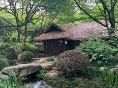 -中国茶叶博物馆(双峰馆区)