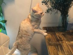 -小时光咖啡馆(北锣鼓巷店)