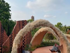 -深圳仙湖植物园