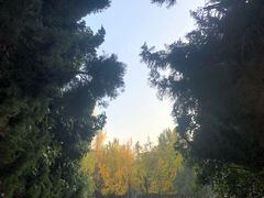 -帕米朵儿新疆小馆(仙鹤新天地广场店)