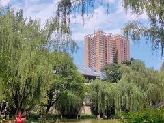 -西安市长乐公园
