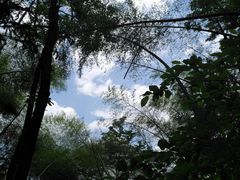 -会稽山峡洞漂流-上青古道
