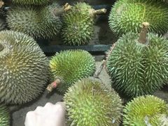 -SS2 榴梿鲜生