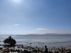 -深圳湾公园(南山区)