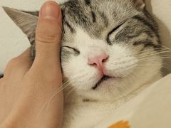 -乡食柴房  湖南乡里菜(龙岗中心城店)