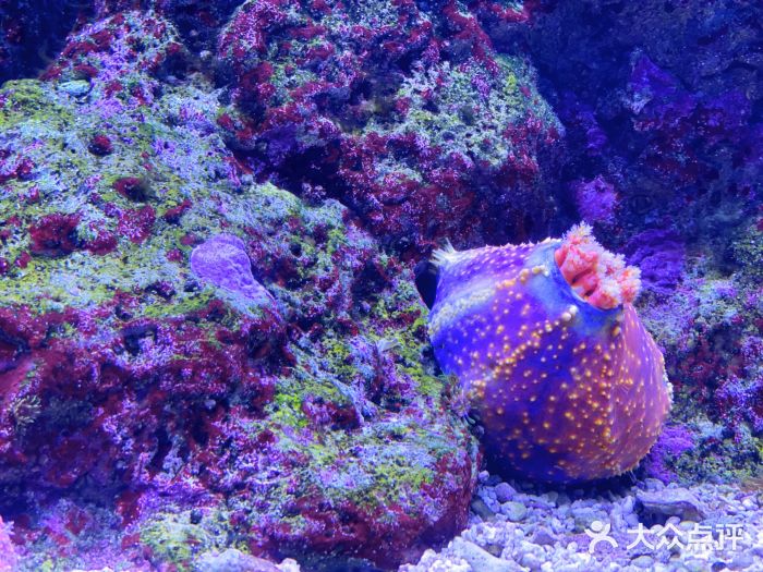 成都浩海立方海洋公园图片