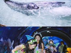 -南昌海洋公园