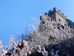 -居庸关长城