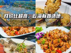 -椰梦长廊