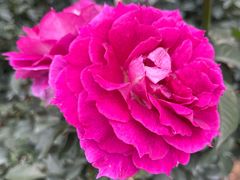 -人民公园(罗湖区)